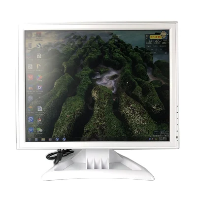 Monitor medicale LCD bianco Monitor per dispositivo HD incorporato da 17 pollici